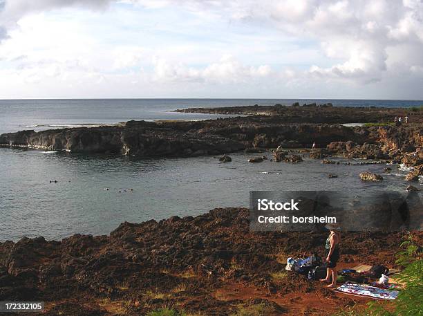 Piknik W Sharks Cove - zdjęcia stockowe i więcej obrazów Shark's Cove Beach - Shark's Cove Beach, Dorosły, Fotografika