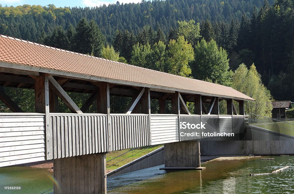 Nagoldtalsperre en Alemania - Foto de stock de Agua libre de derechos