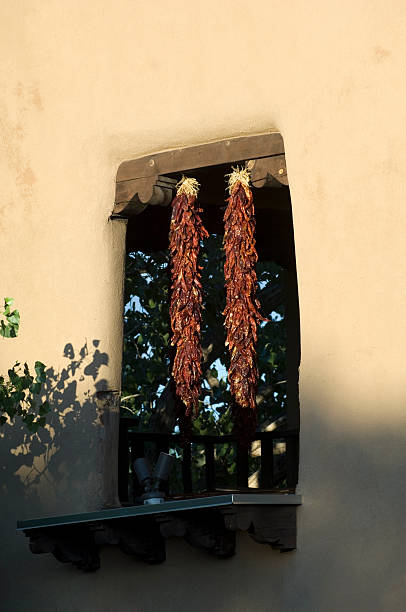 산타페이의 - santa fe new mexico mexico adobe house 뉴스 사진 이미지