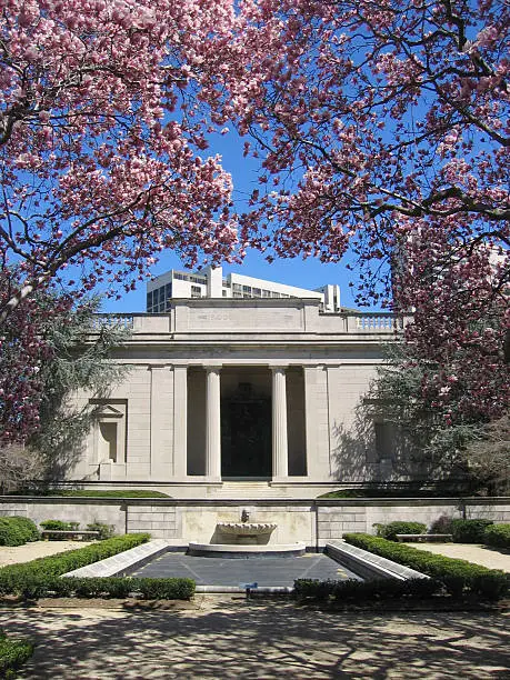 "Cherry blossoms in museum grounds on Benjamin Franklin Parkway, Philadelphia, Pennsylvania, USA."