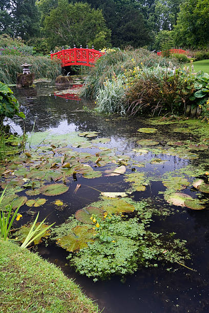 Japanese Garden at Wilton House  earl of pembroke stock pictures, royalty-free photos & images