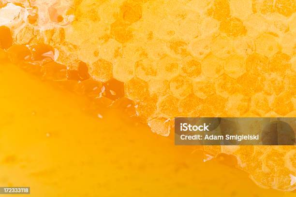 Favo De Mel - Fotografias de stock e mais imagens de Amarelo - Amarelo, Cera, Comida