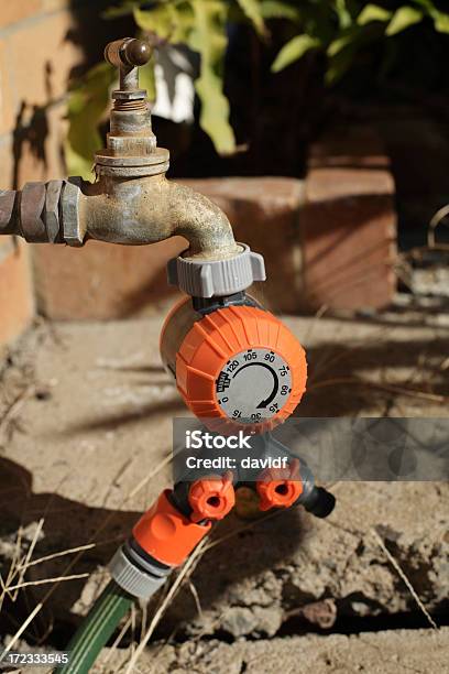 Water Tap Stock Photo - Download Image Now - Timer, Faucet, Yard - Grounds