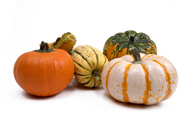 Decorative Gourds A display of fall decorations gourd stock pictures, royalty-free photos & images