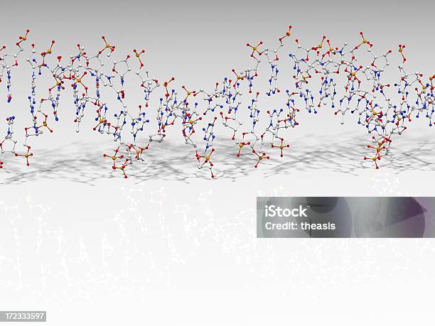 Molécula De Dna - Fotografias de stock e mais imagens de ADN - ADN, Biologia, Bioquímica