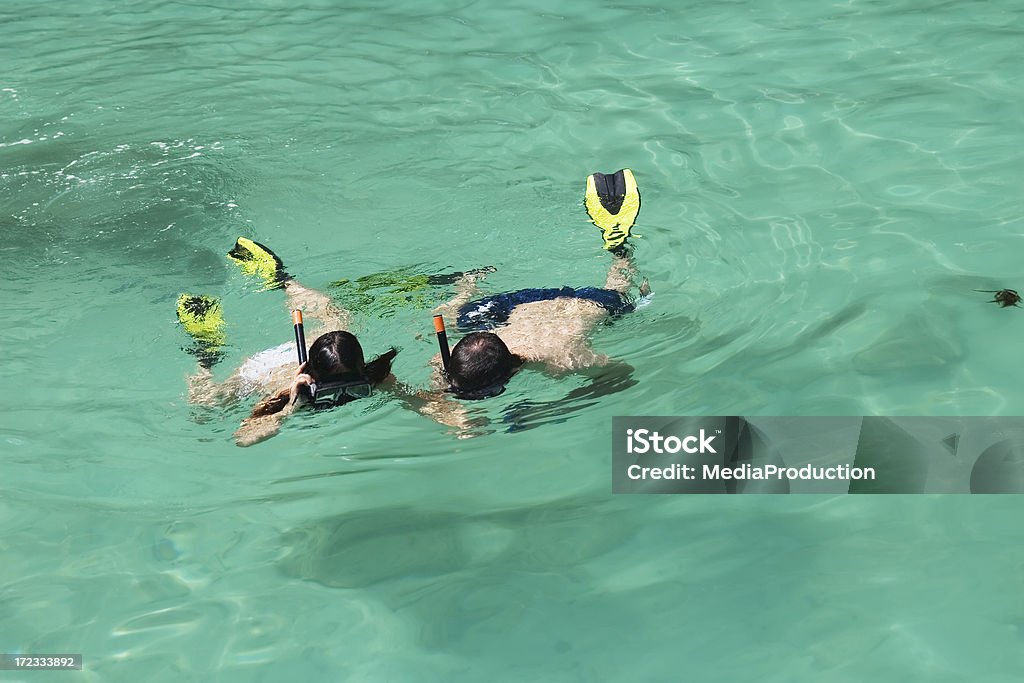 snorkelling - Royalty-free Adulto Foto de stock