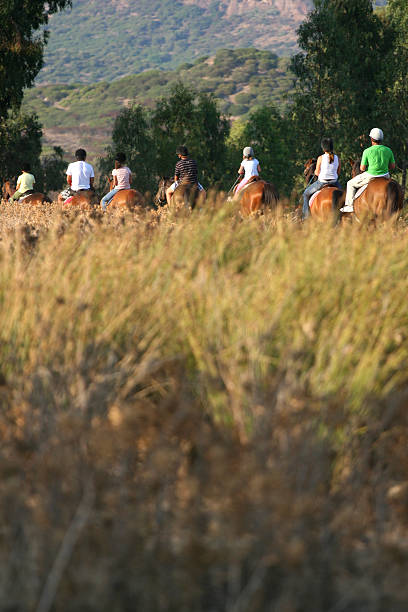 Two young women enjoying riding white  horses on meadow near forest, copy space.