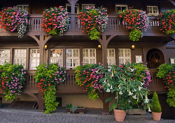 balcony with beautiful flower decoration