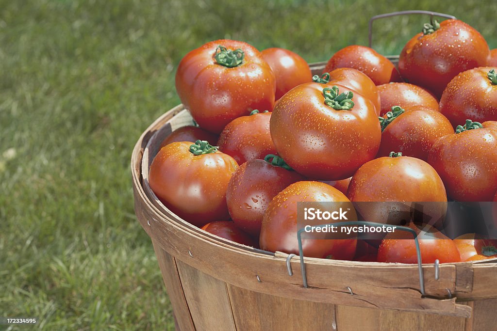 厳選された新鮮なトマトのバスケット - みずみずしいのロイヤリティフリーストックフォト