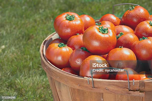 厳選された新鮮なトマトのバスケット - みずみずしいのストックフォトや画像を多数ご用意 - みずみずしい, カラー画像, クローズアップ