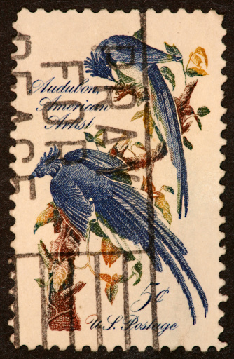 postage stamp honoring Audubon.