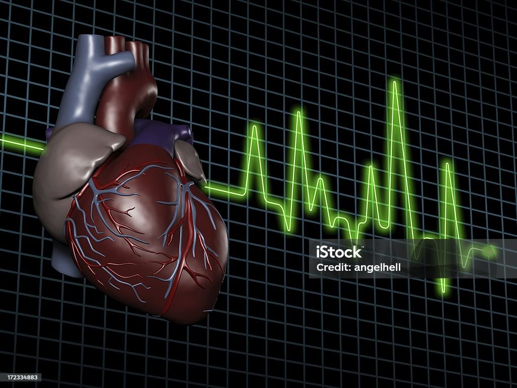 Electrocardiogram (ECG / EKG) with human heart on screen "Image of a electrocardiogram (ECG / EKG), with human heart on screen. Great to be used in medicine works and health." Analyzing Stock Photo