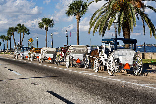 Carriage Ride "Line up of horse-drawn carriages in St. Augustine, Florida in late afternoon." florida food stock pictures, royalty-free photos & images