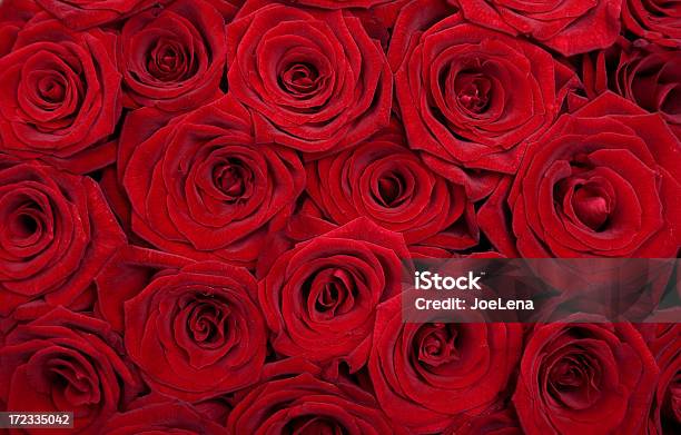 Sfondo Rosa Rossa - Fotografie stock e altre immagini di Composizione orizzontale - Composizione orizzontale, Concetti, Evento festivo
