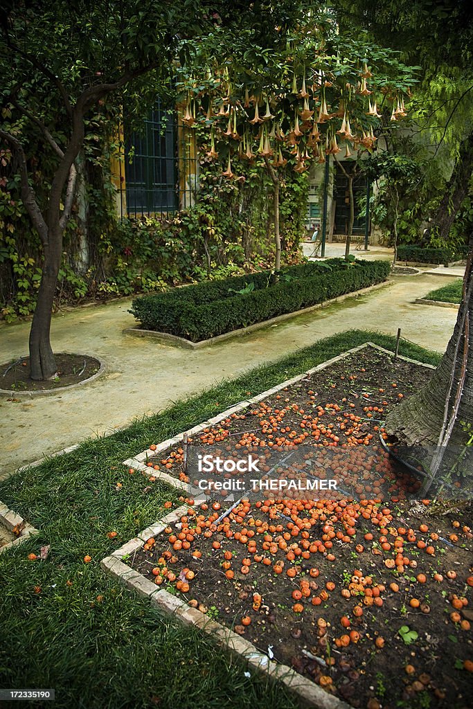 casa de pilatos сад - Стоковые фото Андалусия роялти-фри
