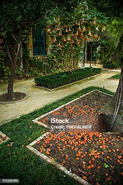 Casa De Pilatos Сад — стоковые фотографии и другие картинки Андалусия - Андалусия, Архитектурный элемент, Без людей