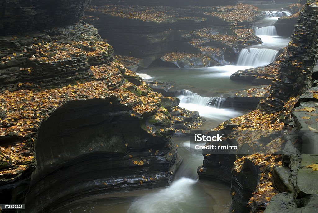 Peaceful Cascade Fall leaves delicately surrounding a cascadeSome related photos: Autumn Stock Photo