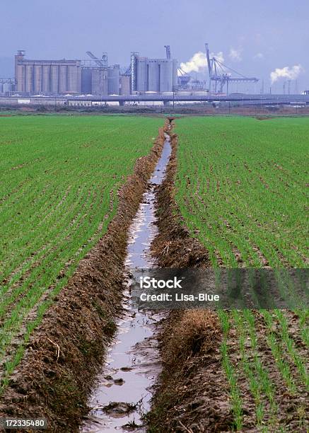 Green Fields And Toxic Waste Stock Photo - Download Image Now - Agricultural Field, Air Pollution, Canal