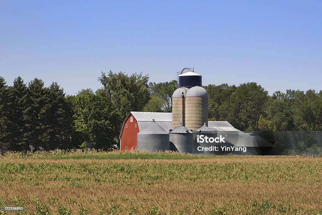 Farm, Silo, & fiore Bin - Foto stock royalty-free di Agricoltura