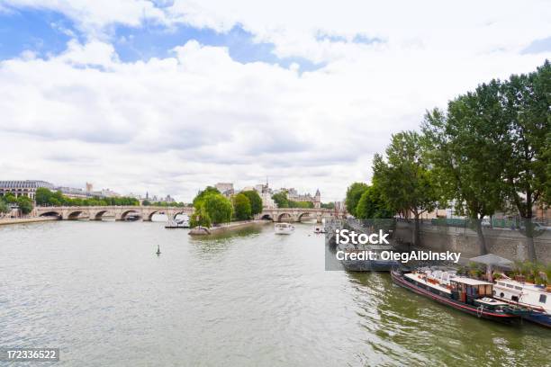 Parigi Fiume Senna - Fotografie stock e altre immagini di Acqua - Acqua, Albero, Ambientazione esterna