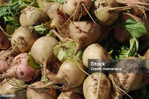 Rutabagas Sul Mercato - Fotografie stock e altre immagini di Navone - Navone, Agricoltura, Alimentazione sana