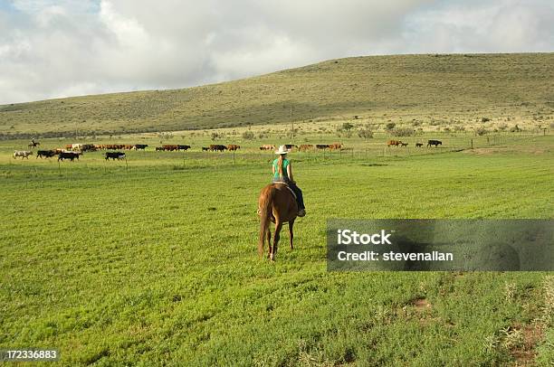 Photo libre de droit de Cowboy banque d'images et plus d'images libres de droit de Agriculture - Agriculture, Animaux domestiques, Champ