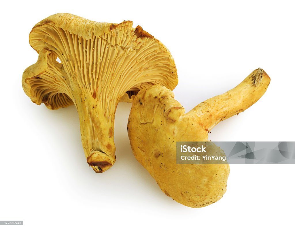 Cogumelo Chanterelle - Foto de stock de Alimentação Saudável royalty-free