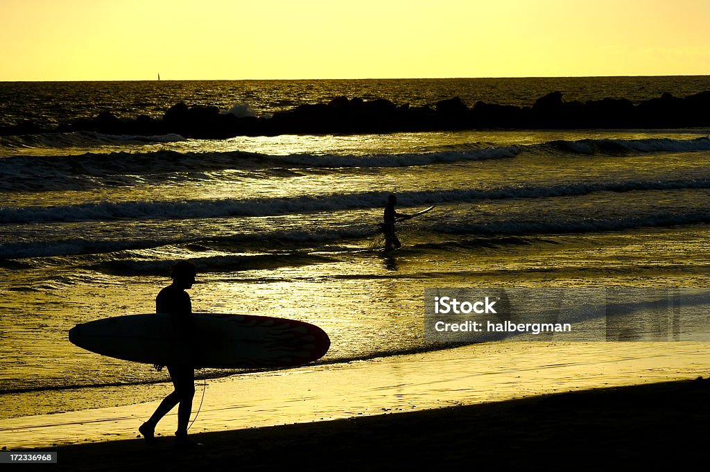 Surfer Silhouette A surfer walking with his board, silhouetted against the ocean at sunset. Aquatic Sport Stock Photo