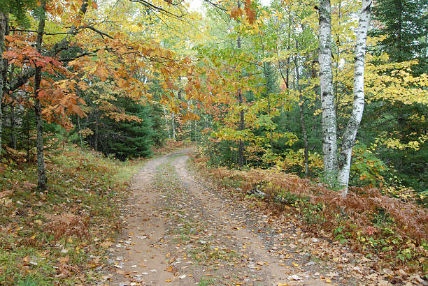 istock Autumn in Wisconsin 172336971