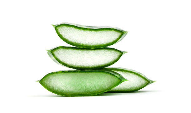 Aloe vera  aloe plant alternative medicine body care stock pictures, royalty-free photos & images