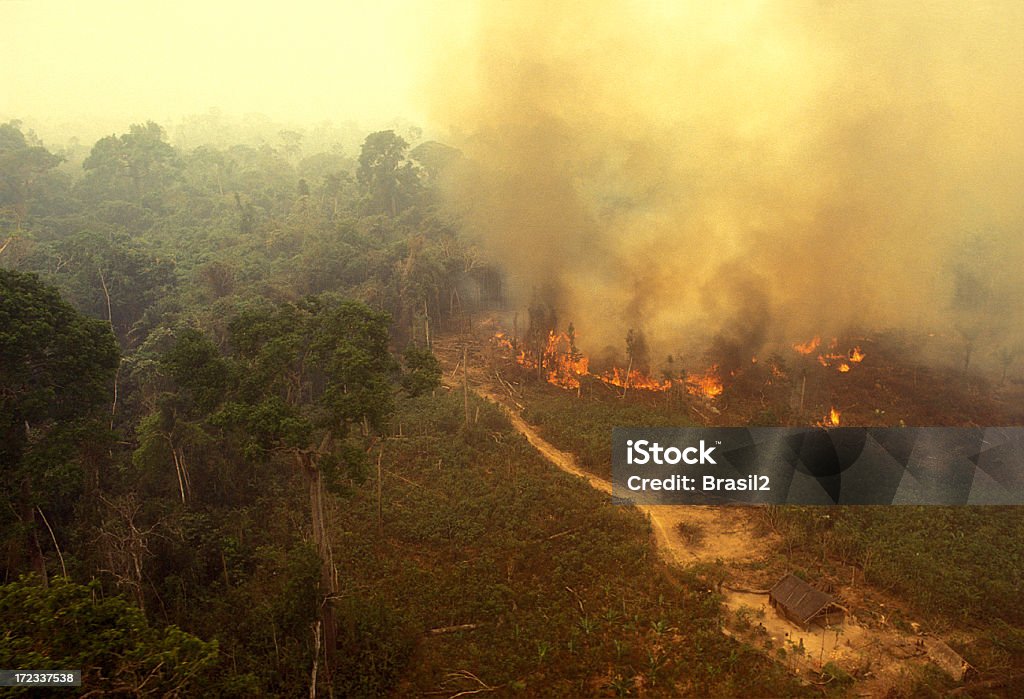 Fire in the Amazon Aerial view of a fire in the rainforest. Fire - Natural Phenomenon Stock Photo