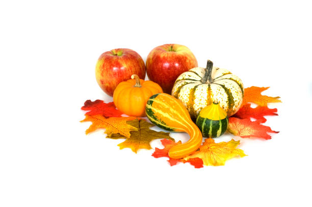 istock Autumnal Arrangement 172337625