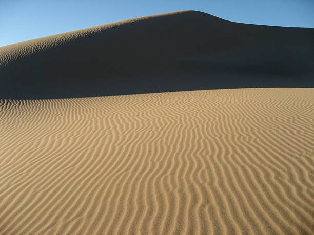 istock Ripples of sand in the Gobi 172337957