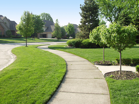 A sunny morning on a typical american suburban sidewalk