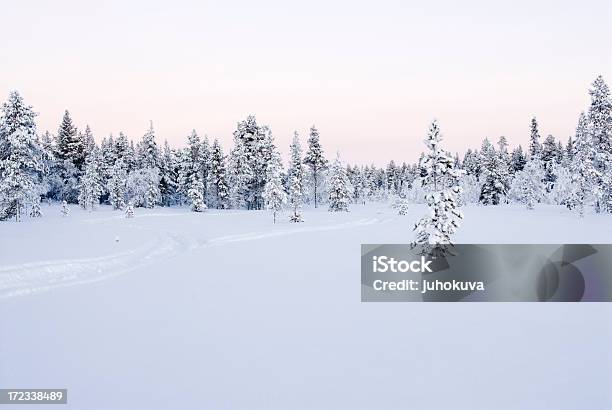 Snowmobile Sendero En Laponia Finlandesa Foto de stock y más banco de imágenes de Aislado - Aislado, Clima, Clima polar