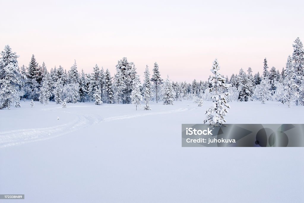 Caminho da Lapónia finlandesa de Snowmobile - Royalty-free Clima Foto de stock