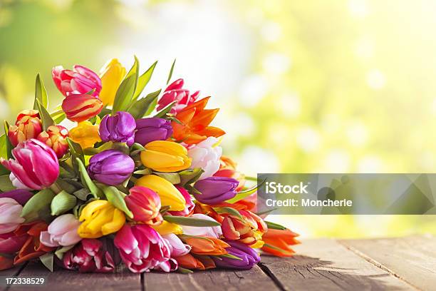 Bunte Tulpen Auf Einer Alten Holztisch Mit Der Natur Hintergrund Stockfoto und mehr Bilder von Alt