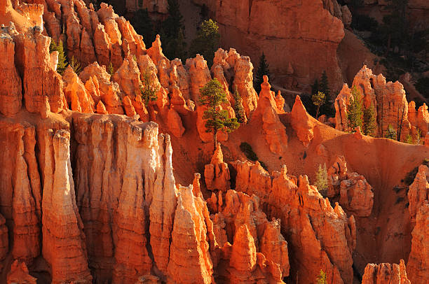 istock Pine trees among bright orange walls of Bryce Canyon 172338863