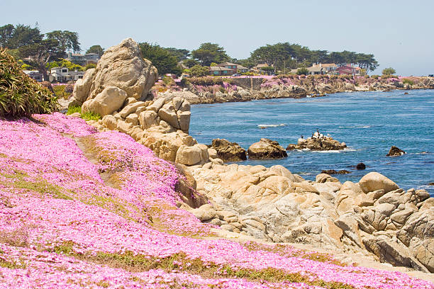 istock Monterey Bay: Seascape at Pacific Grove 172338979