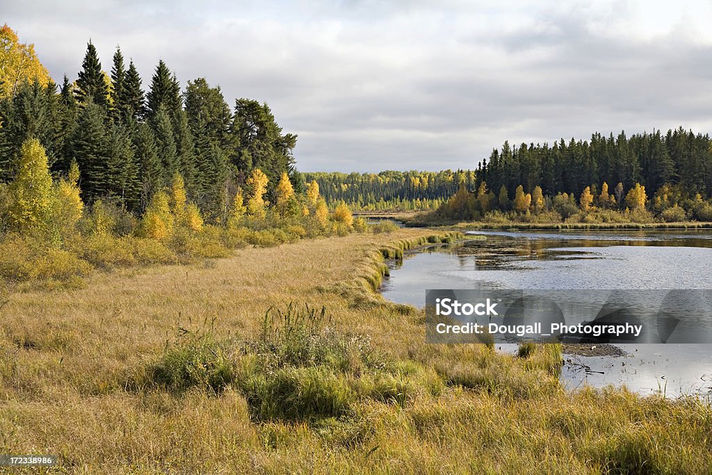 노던 Marsh 가을 - 로열티 프리 서스캐처원 스톡 사진