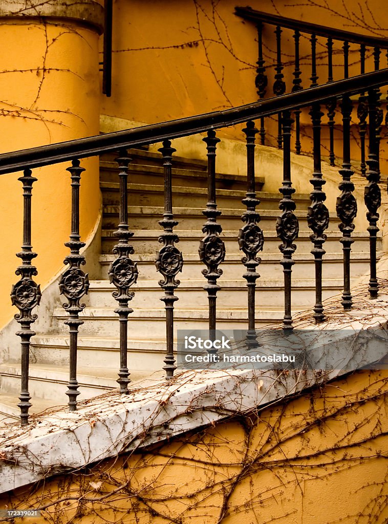 Treppe - Lizenzfrei Kletterpflanze Stock-Foto