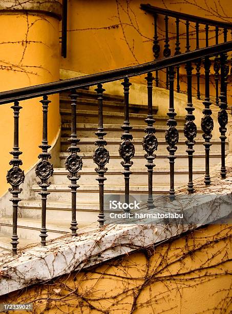 Photo libre de droit de Escalier banque d'images et plus d'images libres de droit de Escalier - Escalier, Marches - Marches et Escaliers, Plante grimpante