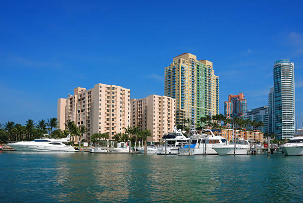 istock miami beach marina and luxury condos 172339023