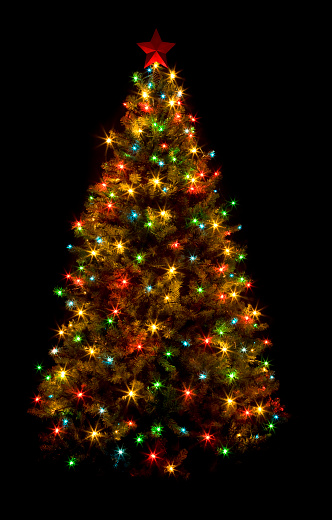 Christmas tree baubles hanging on tree branches.