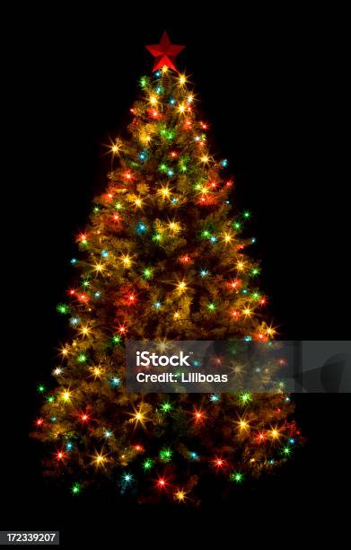 Рождество Дерево Oh — стоковые фотографии и другие картинки Рождественская ёлка - Рождественская ёлка, Изолированный предмет, Чёрный фон