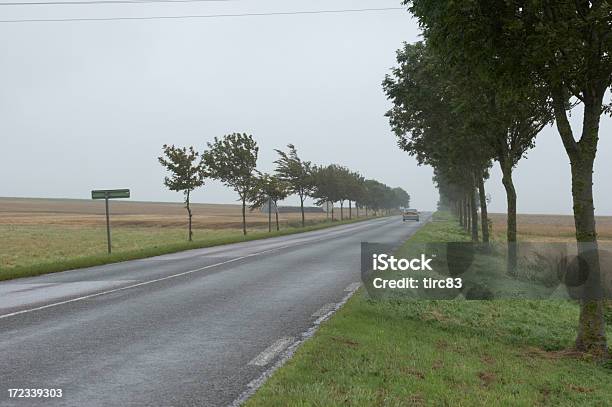 Französische Straße Auf Nassen Nebligen Morgen Landschaft Stockfoto und mehr Bilder von Auto