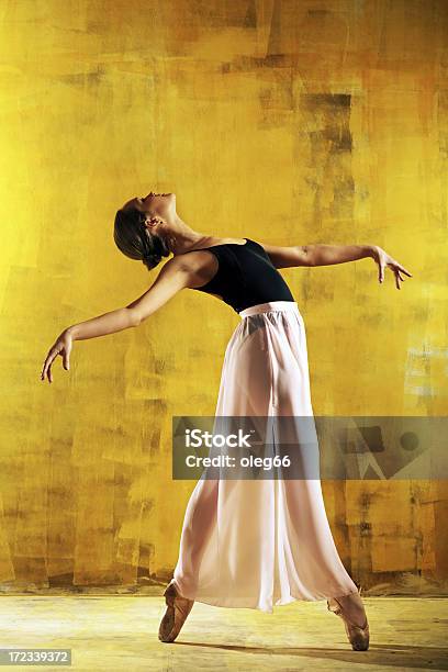 Ballet Dancer Stock Photo - Download Image Now - 20-29 Years, 25-29 Years, Adult
