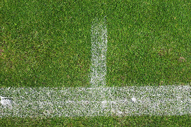istock Lawn tennis baseline T chalk on grass 172339472