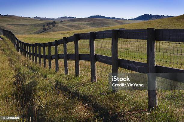 Rancho Ogrodzenie - zdjęcia stockowe i więcej obrazów Bez ludzi - Bez ludzi, Black Hills, Drewno - Tworzywo