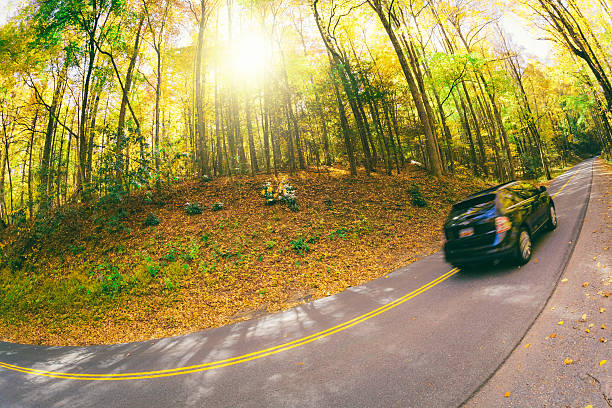 samochód, jazda w lesie - gatlinburg road winding road tennessee zdjęcia i obrazy z banku zdjęć